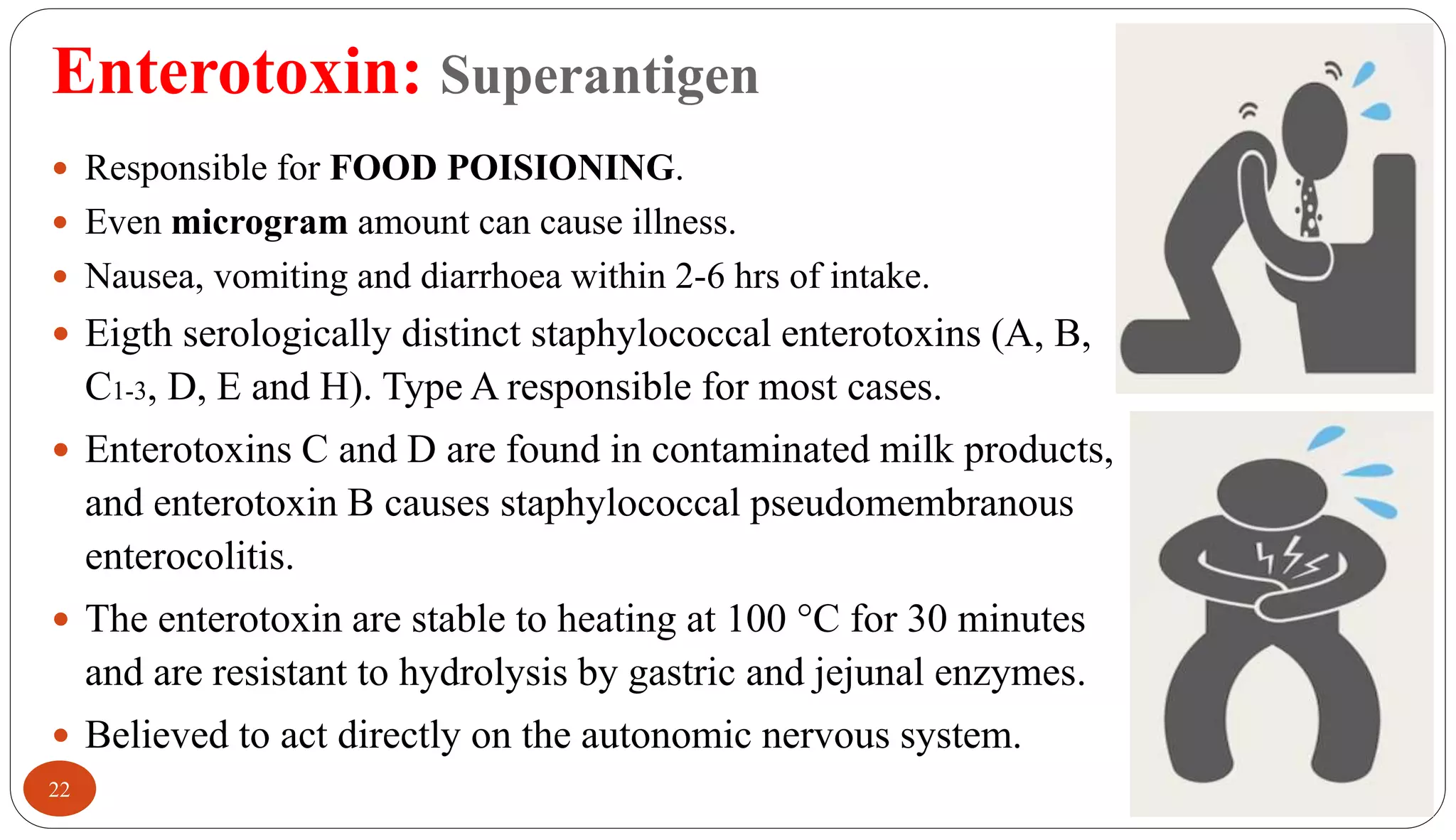 Enterotoxin: Superantigen
22
 Responsible for FOOD POISIONING.
 Even microgram amount can cause illness.
 Nausea, vomiting and diarrhoea within 2-6 hrs of intake.
 Eigth serologically distinct staphylococcal enterotoxins (A, B,
C1-3, D, E and H). Type A responsible for most cases.
 Enterotoxins C and D are found in contaminated milk products,
and enterotoxin B causes staphylococcal pseudomembranous
enterocolitis.
 The enterotoxin are stable to heating at 100 °C for 30 minutes
and are resistant to hydrolysis by gastric and jejunal enzymes.
 Believed to act directly on the autonomic nervous system.
 