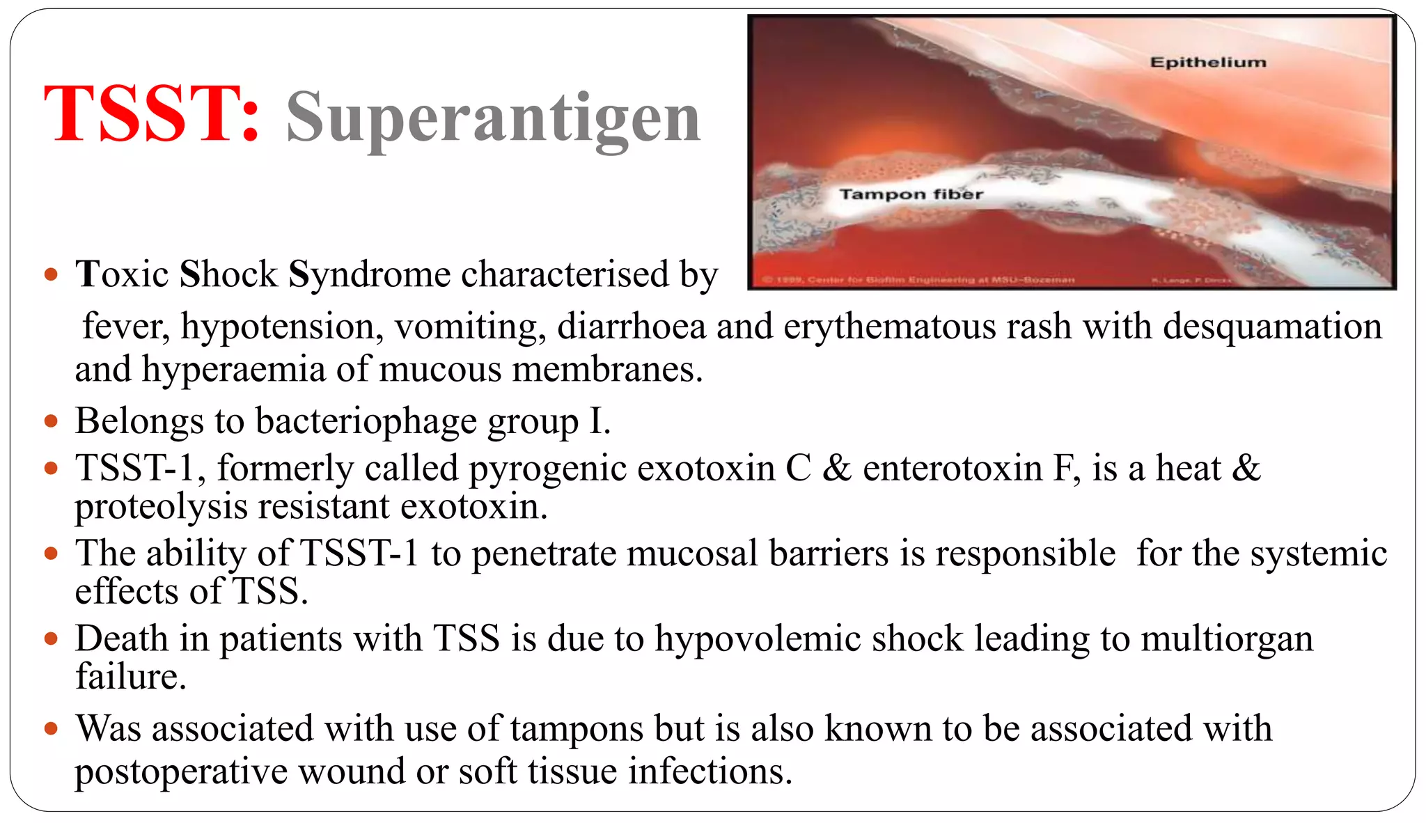TSST: Superantigen
23
 Toxic Shock Syndrome characterised by
fever, hypotension, vomiting, diarrhoea and erythematous rash with desquamation
and hyperaemia of mucous membranes.
 Belongs to bacteriophage group I.
 TSST-1, formerly called pyrogenic exotoxin C & enterotoxin F, is a heat &
proteolysis resistant exotoxin.
 The ability of TSST-1 to penetrate mucosal barriers is responsible for the systemic
effects of TSS.
 Death in patients with TSS is due to hypovolemic shock leading to multiorgan
failure.
 Was associated with use of tampons but is also known to be associated with
postoperative wound or soft tissue infections.
 