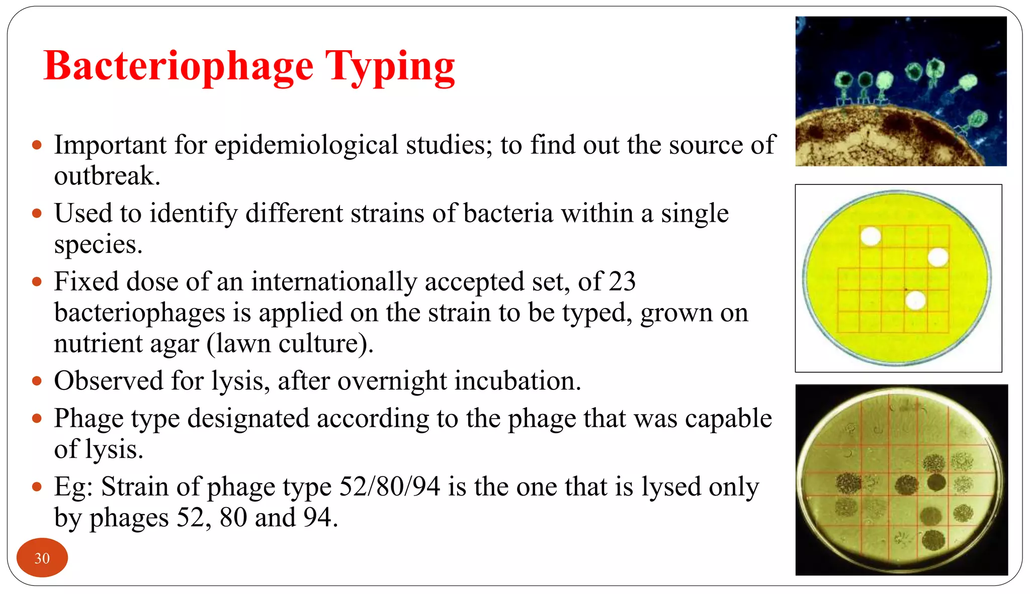 Bacteriophage Typing
30
 Important for epidemiological studies; to find out the source of
outbreak.
 Used to identify different strains of bacteria within a single
species.
 Fixed dose of an internationally accepted set, of 23
bacteriophages is applied on the strain to be typed, grown on
nutrient agar (lawn culture).
 Observed for lysis, after overnight incubation.
 Phage type designated according to the phage that was capable
of lysis.
 Eg: Strain of phage type 52/80/94 is the one that is lysed only
by phages 52, 80 and 94.
 