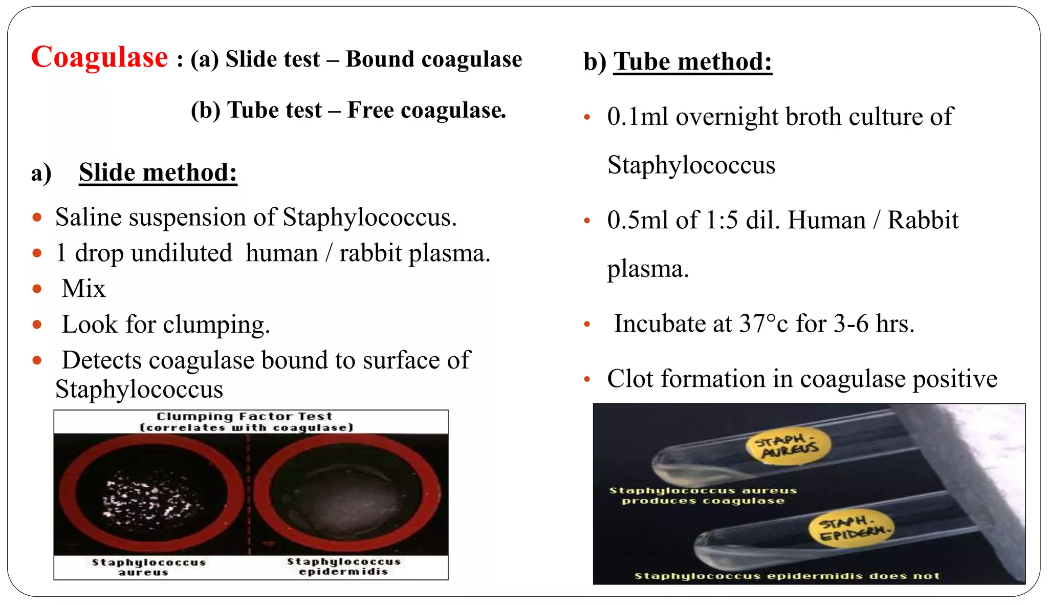 Coagulase : (a) Slide test – Bound coagulase
(b) Tube test – Free coagulase.
a) Slide method:
 Saline suspension of Staphylococcus.
 1 drop undiluted human / rabbit plasma.
 Mix
 Look for clumping.
 Detects coagulase bound to surface of
Staphylococcus
b) Tube method:
• 0.1ml overnight broth culture of
Staphylococcus
• 0.5ml of 1:5 dil. Human / Rabbit
plasma.
• Incubate at 37°c for 3-6 hrs.
• Clot formation in coagulase positive
reaction
 