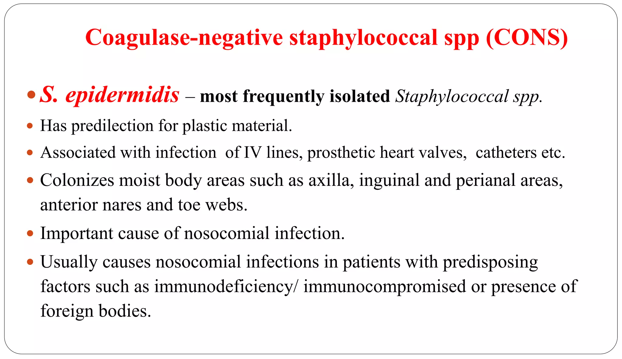 Coagulase-negative staphylococcal spp (CONS)
41
 S. epidermidis – most frequently isolated Staphylococcal spp.
 Has predilection for plastic material.
 Associated with infection of IV lines, prosthetic heart valves, catheters etc.
 Colonizes moist body areas such as axilla, inguinal and perianal areas,
anterior nares and toe webs.
 Important cause of nosocomial infection.
 Usually causes nosocomial infections in patients with predisposing
factors such as immunodeficiency/ immunocompromised or presence of
foreign bodies.
 