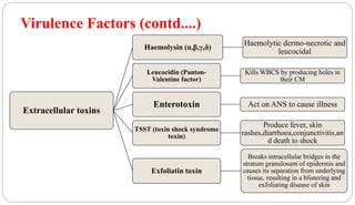 Virulence Factors (contd....)
Extracellular toxins
Haemolysin (α,β,γ,δ)
Haemolytic dermo-necrotic and
leucocidal
Leucocidin (Panton-
Valentine factor)
Kills WBCS by producing holes in
their CM
Enterotoxin Act on ANS to cause illness
TSST (toxin shock syndrome
toxin)
Produce fever, skin
rashes,diarrhoea,conjunctivitis,an
d death to shock
Exfoliatin toxin
Breaks intracellular bridges in the
stratum granulosum of epidermis and
causes its separation from underlying
tissue, resulting in a blistering and
exfoliating disease of skin
 