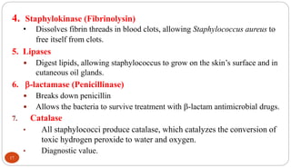 17
4. Staphylokinase (Fibrinolysin)
• Dissolves fibrin threads in blood clots, allowing Staphylococcus aureus to
free itself from clots.
5. Lipases
 Digest lipids, allowing staphylococcus to grow on the skin’s surface and in
cutaneous oil glands.
6. -lactamase (Penicillinase)
 Breaks down penicillin
 Allows the bacteria to survive treatment with -lactam antimicrobial drugs.
7. Catalase
• All staphylococci produce catalase, which catalyzes the conversion of
toxic hydrogen peroxide to water and oxygen.
• Diagnostic value.
 