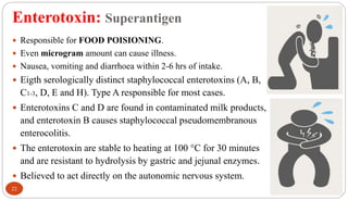 Enterotoxin: Superantigen
22
 Responsible for FOOD POISIONING.
 Even microgram amount can cause illness.
 Nausea, vomiting and diarrhoea within 2-6 hrs of intake.
 Eigth serologically distinct staphylococcal enterotoxins (A, B,
C1-3, D, E and H). Type A responsible for most cases.
 Enterotoxins C and D are found in contaminated milk products,
and enterotoxin B causes staphylococcal pseudomembranous
enterocolitis.
 The enterotoxin are stable to heating at 100 °C for 30 minutes
and are resistant to hydrolysis by gastric and jejunal enzymes.
 Believed to act directly on the autonomic nervous system.
 