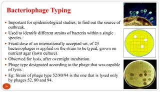 Bacteriophage Typing
30
 Important for epidemiological studies; to find out the source of
outbreak.
 Used to identify different strains of bacteria within a single
species.
 Fixed dose of an internationally accepted set, of 23
bacteriophages is applied on the strain to be typed, grown on
nutrient agar (lawn culture).
 Observed for lysis, after overnight incubation.
 Phage type designated according to the phage that was capable
of lysis.
 Eg: Strain of phage type 52/80/94 is the one that is lysed only
by phages 52, 80 and 94.
 