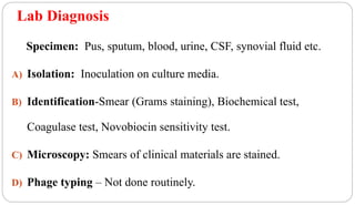 Lab Diagnosis
Specimen: Pus, sputum, blood, urine, CSF, synovial fluid etc.
A) Isolation: Inoculation on culture media.
B) Identification-Smear (Grams staining), Biochemical test,
Coagulase test, Novobiocin sensitivity test.
C) Microscopy: Smears of clinical materials are stained.
D) Phage typing – Not done routinely.
 