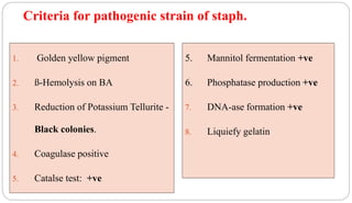 Criteria for pathogenic strain of staph.
1. Golden yellow pigment
2. ß-Hemolysis on BA
3. Reduction of Potassium Tellurite -
Black colonies.
4. Coagulase positive
5. Catalse test: +ve
5. Mannitol fermentation +ve
6. Phosphatase production +ve
7. DNA-ase formation +ve
8. Liquiefy gelatin
 