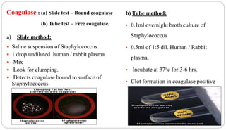 Coagulase : (a) Slide test – Bound coagulase
(b) Tube test – Free coagulase.
a) Slide method:
 Saline suspension of Staphylococcus.
 1 drop undiluted human / rabbit plasma.
 Mix
 Look for clumping.
 Detects coagulase bound to surface of
Staphylococcus
b) Tube method:
• 0.1ml overnight broth culture of
Staphylococcus
• 0.5ml of 1:5 dil. Human / Rabbit
plasma.
• Incubate at 37°c for 3-6 hrs.
• Clot formation in coagulase positive
reaction
 