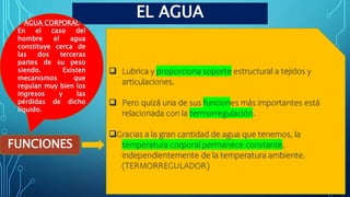 EL AGUA
FUNCIONES
 Lubrica y proporciona soporte estructural a tejidos y
articulaciones.
 Pero quizá una de sus funciones más importantes está
relacionada con la termorregulación.
Gracias a la gran cantidad de agua que tenemos, la
temperatura corporal permanece constante,
independientemente de la temperatura ambiente.
(TERMORREGULADOR)
AGUA CORPORAL
En el caso del
hombre el agua
constituye cerca de
las dos terceras
partes de su peso
siendo. Existen
mecanismos que
regulan muy bien los
ingresos y las
pérdidas de dicho
líquido.
 