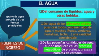 EL AGUA
FUENTES DE
INGRESO
Del consumo de líquidos: agua y
otras bebidas.
aporte de agua
procede de tres
fuentes
principales:
Del agua de los alimentos sólidos,
pues casi todos contienen algo de
agua y muchos (frutas, verduras,
hortalizas, leche,...) una cantidad
considerable
De las pequeñas cantidades de agua
que se producen en los procesos
metabólicos de proteínas, grasas e
hidratos de carbono.
 