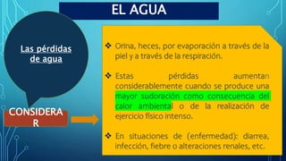 EL AGUA
CONSIDERA
R
 Orina, heces, por evaporación a través de la
piel y a través de la respiración.
 Estas pérdidas aumentan
considerablemente cuando se produce una
mayor sudoración como consecuencia del
calor ambiental o de la realización de
ejercicio físico intenso.
 En situaciones de (enfermedad): diarrea,
infección, fiebre o alteraciones renales, etc.
Las pérdidas
de agua
 
