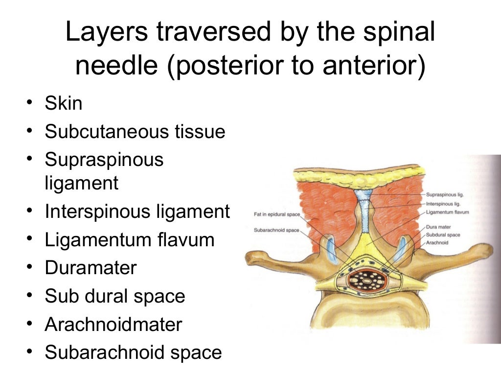 SPINAL ANAESTHESIA