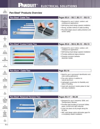 ELECTRICAL SOLUTIONS
B3.2
B2.
Cable
Accessories
C1.
Wiring
Duct
C3.
Abrasion
Protection
C4.
Cable
Management
D1.
Terminals
D2.
Power
Connectors
E1.
Labeling
Systems
E2.
Labels
E3.
Pre-Printed
& Write-On
Markers
F.
Index
B3.
Stainless
Steel Ties
C2.
Surface
Raceway
E5.
Lockout/
Tagout
& Safety
Solutions
B1.
Cable Ties
A.
System
Overview
D3.
Grounding
Connectors
E4.
Permanent
Identification
Pan-Steel®
Products Overview
Pan-Steel®
Cable Ties Pages B3.4 – B3.7, B3.11 – B3.13
Pan-Steel®
Coated Cable Ties Pages B3.8 – B3.9, B3.12 – B3.13
Pan-Alum™
Cable Ties Page B3.10
Pan-Steel®
Retained Tension Ties Pages B3.17 – B3.20
• Designed for use in indoor, outdoor, and
underground applications
• Self-locking head design speeds installation
• Strong, durable method of cable bundling
• Rounded edges assure cable protection and
worker safety
• Designed for use in indoor, outdoor, and
underground applications
• Self-locking head design speeds installation
• Provides additional edge protection
• Prevents corrosion between
dissimilar metals
• Ideal for use in permanent identification and
color-coding applications
• Five color options in addition to
natural aluminum
• Lightweight construction for flexibility and
ease of handling
• Used with aluminum marker plates for fast
and easy installation
• Designed for use in Industrial, OEM, and
Transportation Markets
• Provides tight bundling of armored cables,
pipes, conduit and rigid materials
• Locks into place at any length along the
tie body
• 360° seal design option eliminates gaps for
a completely sealed installation
 