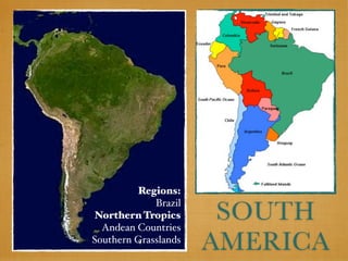 Regions:

                       SOUTH
             Brazil
Northern Tropics
  Andean Countries
Southern Grasslands
                      AMERICA
 