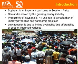 Scaling Up Improved Seed and Agronomic Practices in Southern Africa | PPTX