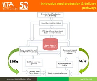 Scaling Up Improved Seed and Agronomic Practices in Southern Africa | PPTX