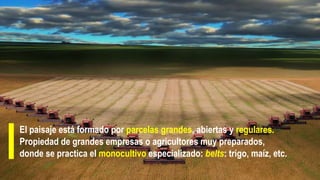 La agricultura de países nuevos se localiza en zonas de reciente ocupación
Colonizadas por europeos durante los siglos XIX...