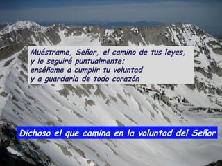 Dichoso el que camina en la voluntad del Señor Muéstrame, Señor, el camino de tus leyes,  y lo seguiré puntualmente;  enséñame a cumplir tu voluntad  y a guardarla de todo corazón 