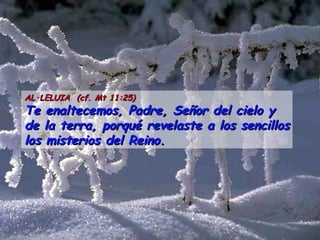 AL·LELUIA  (cf. Mt 11:25) Te enaltecemos, Padre, Señor del cielo y de la terra, porqué revelaste a los sencillos los misterios del Reino. 