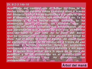 Salmo 147 Domingo del cuerpo y la sangre de Cristo | PPS