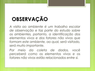 OBSERVAÇÃOOBSERVAÇÃO
A visita ao ambiente é um trabalho escolar
de observação e faz parte do estudo sobre
os ambientes, portanto, a identificação dos
elementos vivos e dos fatores não vivos que
formam este ambiente, ao qual, será visitado,
será muito importante.
Por meio da coleta de dados, você
perceberá como os elementos vivos e os
fatores não vivos estão relacionados entre si.
 