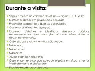 Durante a visita:Durante a visita:
 Seguir o roteiro no caderno do aluno – Páginas 10, 11 e 12;
 Coletar os dados em grupos de 3 pessoas;
 Preencha totalmente o guia de observação;
 Observar os diferentes espaços;
 Observar detalhes e identificar diferenças básicas
encontradas nos seres vivos (formato das folhas, flores, e
caule, por exemplo);
 Caso encontre algum animal, não toque;
 Não corra;
 Não escale;
 Não grite;
 Ajude quando necessário;
 Caso encontre algo que coloque alguém em risco, chamar
imediatamente a professora;
 Escute sempre sua professora.
 