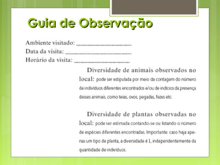 Guia de ObservaçãoGuia de Observação
 