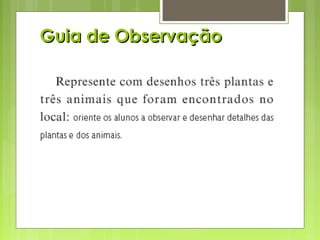 Guia de ObservaçãoGuia de Observação
 