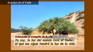 Aclamación al evangelio Jo 8,12bAclamación al evangelio Jo 8,12b
Yo soy, la luz del mundo Dice el Señor;Yo soy, la luz del mundo Dice el Señor;
el que me sigue tendrá la luz de la vida.el que me sigue tendrá la luz de la vida.
Acacias en el ValleAcacias en el Valle
 
