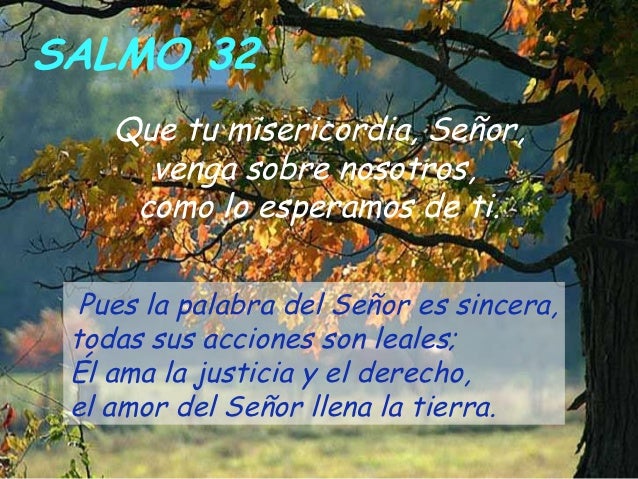 Resultado de imagen para Que tu misericordia, Señor, venga sobre nosotros, como lo esperamos de ti