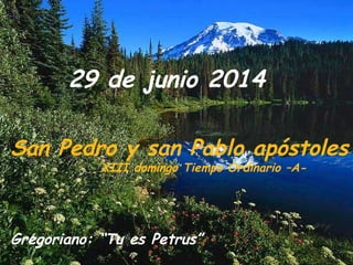 29 de junio 2014
San Pedro y san Pablo apóstoles
XIII domingo Tiempo Ordinario –A-
Gregoriano: “Tu es Petrus”
 