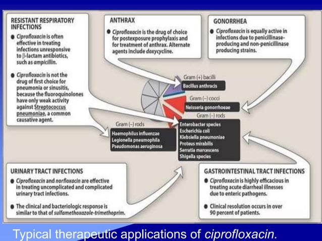 Antibiotic Quinolone history,classification,mechanism of action and ...