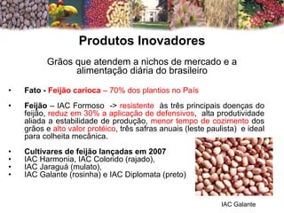 Produtos Inovadores Grãos que atendem a nichos de mercado e a alimentação diária do brasileiro Fato -  Feijão carioca  – 70% dos plantios no País Feijão  – IAC Formoso  ->  resistente   às três principais doenças do feijão,  reduz em 30% a aplicação de defensivos ,  alta produtividade aliada a estabilidade de produção,  menor tempo de cozimento  dos grãos e  alto valor protéico , três safras anuais (leste paulista)  e ideal para colheita mecânica. Cultivares de feijão lançadas em 2007 IAC Harmonia, IAC Colorido (rajado),  IAC Jaraguá (mulato),  IAC Galante (rosinha) e IAC Diplomata (preto) IAC Galante 