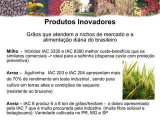 Milho   -  híbridos IAC 3330 e IAC 8390 melhor custo-benefício que os similares comerciais -> ideal para a safrinha (dispensa custo com proteção preventiva) Arroz  –  Agulhinha:  IAC 203 e IAC 204 apresentam mais  de 70% de rendimento em teste industrial , sendo para cultivo em terras altas e condições de sequeiro  (resistente ao brusone) Aveia  – IAC 8 produz 6 a 8 ton de grãos/hectare -  o dobro apresentado pela IAC 7 que é muito procurada pela indústria  (muita fibra solúvel e betaglucano). Variedade cultivada no PR, MG e SP Produtos Inovadores Grãos que atendem a nichos de mercado e a alimentação diária do brasileiro 