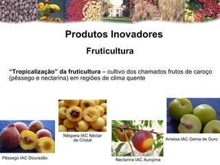 Produtos Inovadores Fruticultura “ Tropicalização” da fruticultura  – cultivo dos chamados frutos de caroço (pêssego e nectarina) em regiões de clima quente Pêssego IAC Douradão Nêspera IAC Néctar de Cristal Nectarina IAC Aurojima  Ameixa IAC Gema de Ouro 