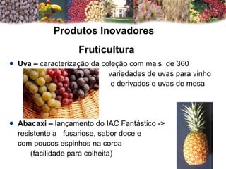 Uva –  caracterização da coleção com mais  de 360 variedades de uvas para vinho  e derivados e uvas de mesa Abacaxi –  lançamento do IAC Fantástico ->  resistente a  fusariose, sabor doce e  com poucos espinhos na coroa (facilidade para colheita)   Produtos Inovadores   Fruticultura 