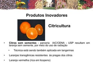 Produtos Inovadores     Citricultura Citros sem sementes  - parceria  IAC/CENA - USP resultam em laranja sem semente, por meio do uso de radiação Técnica está sendo também aplicada em tangerinas Laranjas transgênicas resistentes  às pragas dos citros Laranja vermelha (rica em licopeno)  