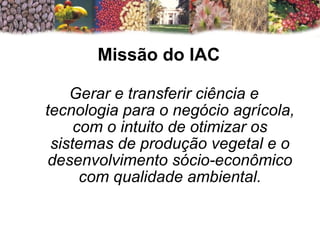 Gerar e transferir ciência e tecnologia para o negócio agrícola, com o intuito de otimizar os sistemas de produção vegetal e o desenvolvimento sócio-econômico com qualidade ambiental. Missão do IAC 