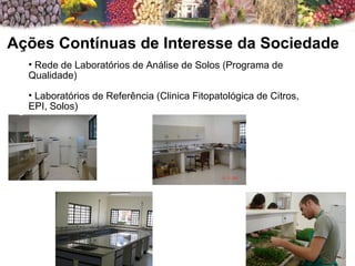 Ações Contínuas de Interesse da Sociedade  Rede de Laboratórios de Análise de Solos (Programa de Qualidade) Laboratórios de Referência (Clinica Fitopatológica de Citros, EPI, Solos) 