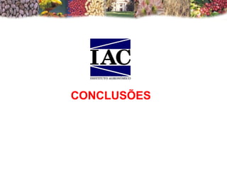 CONCLUSÕES 