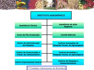 INSTITUTO AGRONÔMICO Assistência Técnica Assistência de Ação Regional Curso de Pós-Graduação Centro de Administração da Pesquisa Centro de Comunicação e Transf. do Conhecimento Centro Experimental Central Comitê Editorial Centros Avançados de Pesquisa Tecnol. do Agronegócio Centros de Análise e Pesquisa Tecnol. do Agronegócio Centros de Pesquisa e Desenvolvimento *7 Unidades Laboratoriais de Referência 