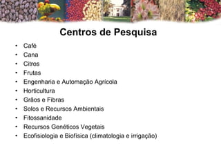 Café Cana  Citros Frutas Engenharia e Automação Agrícola Horticultura  Grãos e Fibras Solos e Recursos Ambientais Fitossanidade  Recursos Genéticos Vegetais  Ecofisiologia e Biofísica (climatologia e irrigação) Centros de Pesquisa 