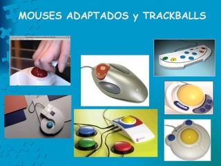 MOUSES ADAPTADOS y TRACKBALLS 