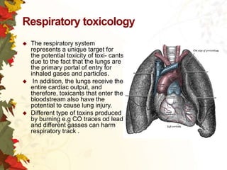 Respiratory toxicology






The respiratory system
represents a unique target for
the potential toxicity of toxi- cants
due to the fact that the lungs are
the primary portal of entry for
inhaled gases and particles.
In addition, the lungs receive the
entire cardiac output, and
therefore, toxicants that enter the
bloodstream also have the
potential to cause lung injury.
Different type of toxins produced
by burning e.g CO traces od lead
and different gasses can harm
respiratory track .

 