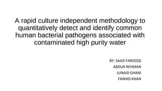A rapid culture independent methodology to
quantitatively detect and identify common
human bacterial pathogens associated with
contaminated high purity water
BY: SAAD FAROOQI
ABDUR REHMAN
JUNAID GHANI
FAWAD KHAN
 