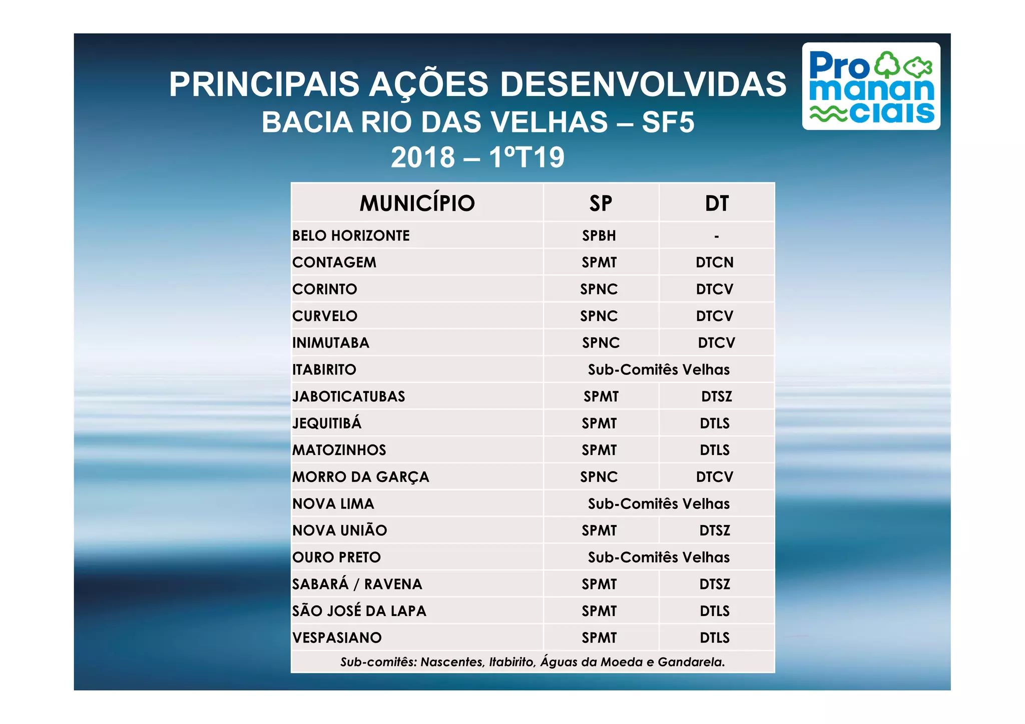 PRINCIPAIS AÇÕES DESENVOLVIDAS
BACIA RIO DAS VELHAS – SF5
2018 – 1ºT19
MUNICÍPIO SP DT
BELO HORIZONTE SPBH -
CONTAGEM SPMT DTCN
CORINTO SPNC DTCV
CURVELO SPNC DTCV
INIMUTABA SPNC DTCV
ITABIRITO Sub-Comitês VelhasITABIRITO Sub-Comitês Velhas
JABOTICATUBAS SPMT DTSZ
JEQUITIBÁ SPMT DTLS
MATOZINHOS SPMT DTLS
MORRO DA GARÇA SPNC DTCV
NOVA LIMA Sub-Comitês Velhas
NOVA UNIÃO SPMT DTSZ
OURO PRETO Sub-Comitês Velhas
SABARÁ / RAVENA SPMT DTSZ
SÃO JOSÉ DA LAPA SPMT DTLS
VESPASIANO SPMT DTLS
Sub-comitês: Nascentes, Itabirito, Águas da Moeda e Gandarela.
 