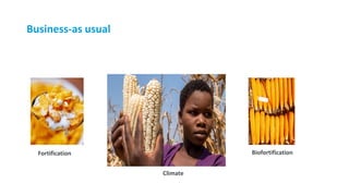 Fortification Biofortification
Business-as usual
Climate
 