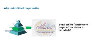 500,000
7,000
60
4
Why underutilised crops matter
Some can be `opportunity
crops’ of the future –
but which?
 
