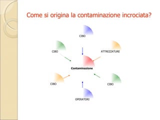 Come si origina la contaminazione incrociata? CIBO OPERATORI CIBO CIBO CIBO ATTREZZATURE Contaminazione 