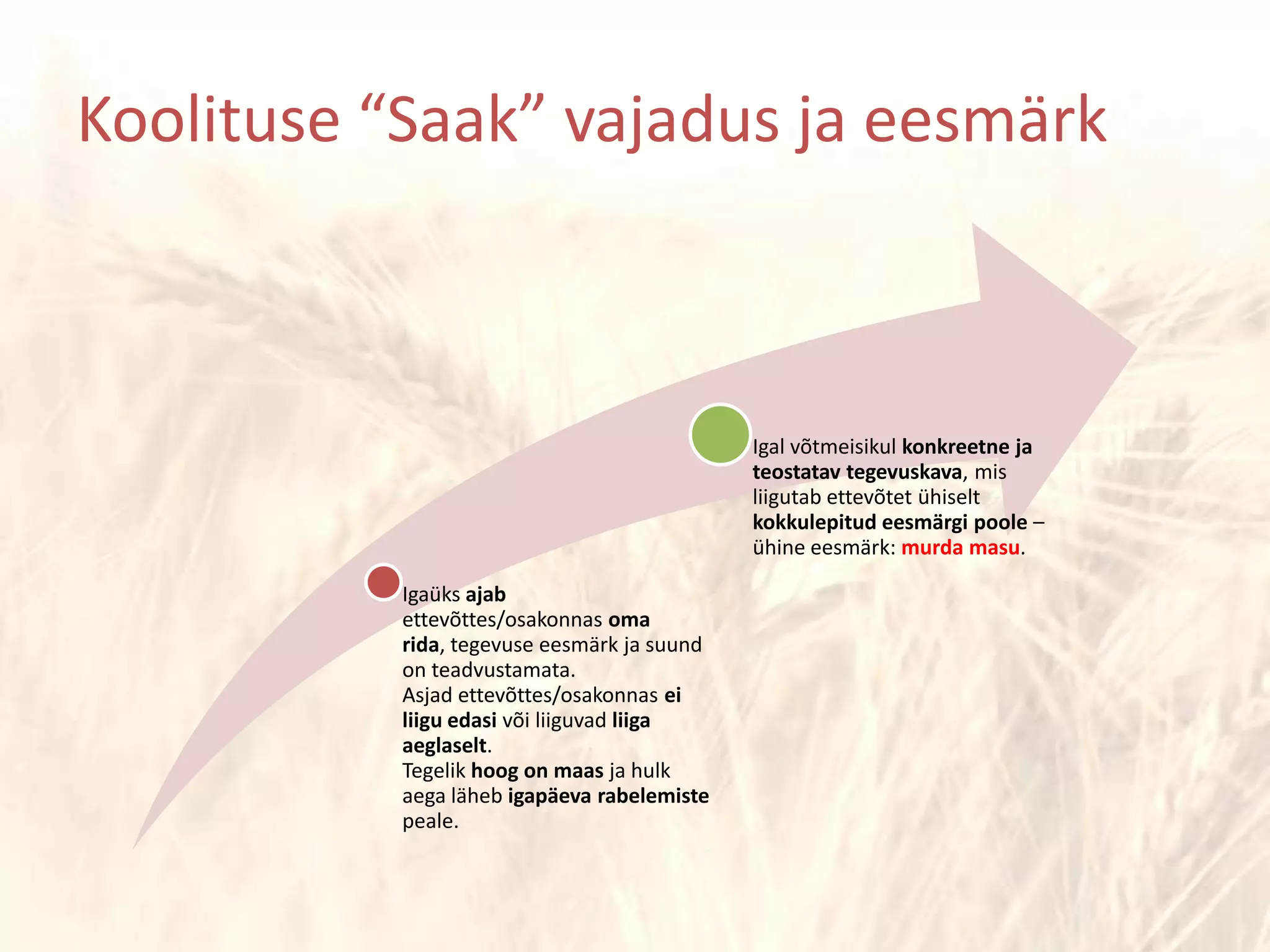Koolituse “Saak” vajadus ja eesmärk